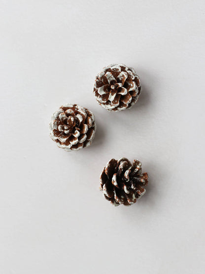 Top view of three snow covered pinecones, sitting on against a light neutral background.