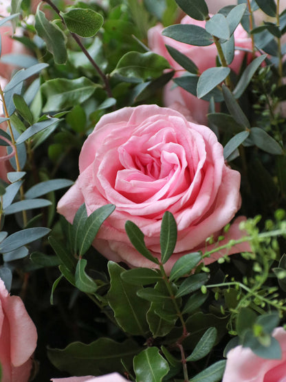 Valentine's Day Luxury Pink Rose Bouquet